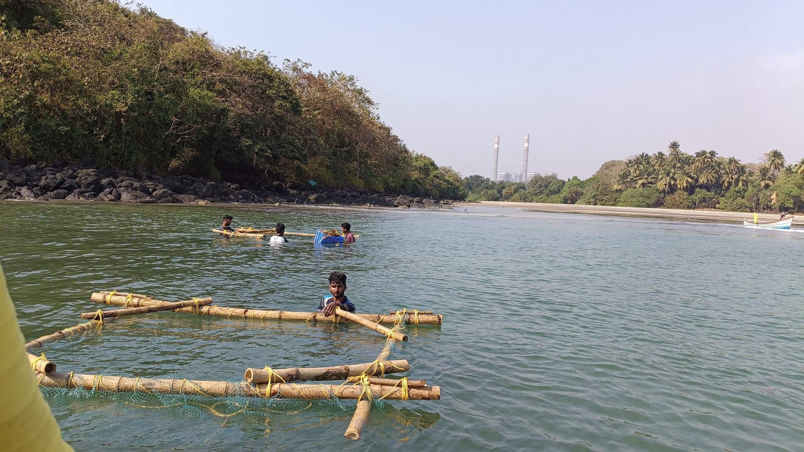 Seaweed farming by coastal communities