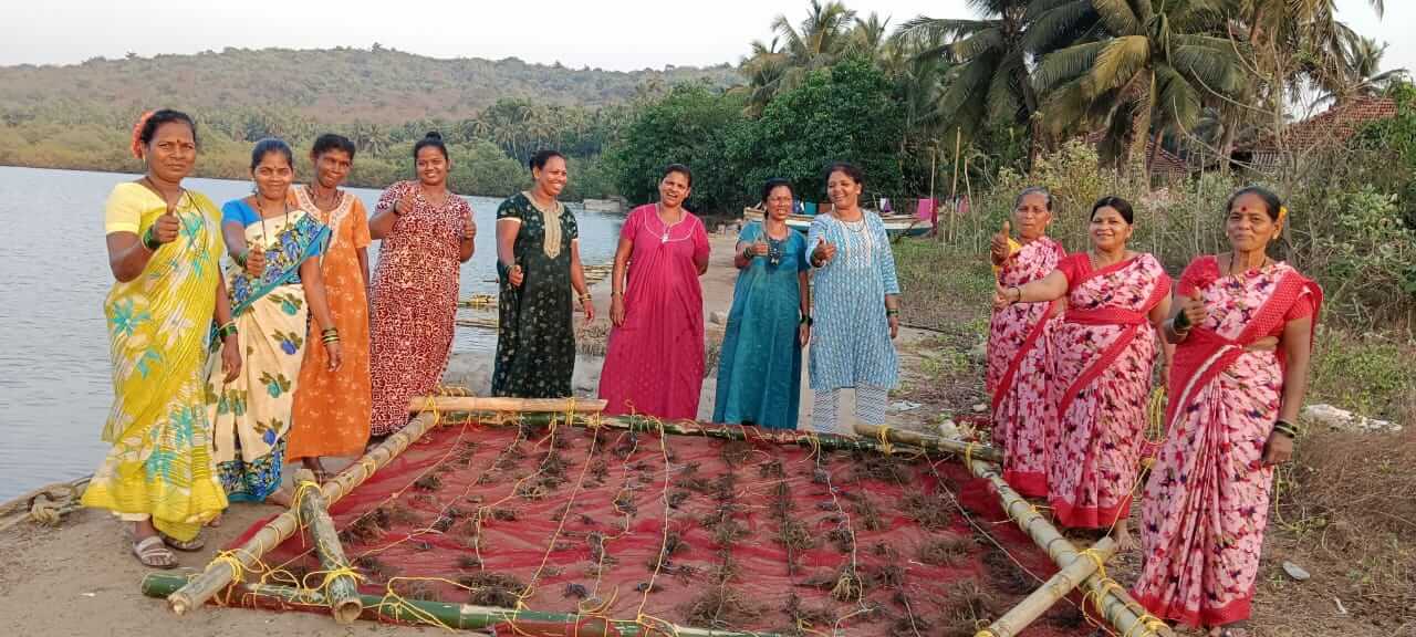 Women entrepreneurs in seaweed farming